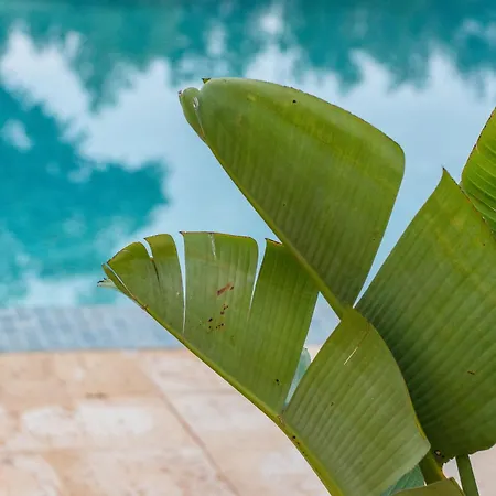 아파트호텔 비스타 마리나 아파트멘토스 투리스티코스 포티마오