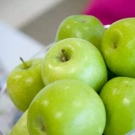 비스타 마리나 아파트멘토스 투리스티코스 4* 포티마오