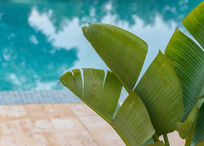 アパートホテル ビスタ マリーナ アパルタメントス トーリスティコス ポルティマン